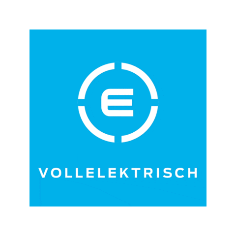 Logo Elektrisch Sticker by Ford