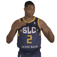 SLCStars nba stars utah salt lake city Sticker