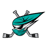 pirati hokej Sticker by Piráti Chomutov