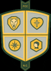 fallingcreekcamp code falling creek camp fallingcreek falling creek GIF