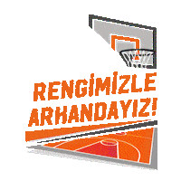 Basketball Ball Sticker by ING Turkiye