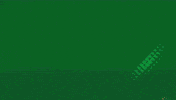 Basketball Slovenia GIF by kkcedevitaolimpija