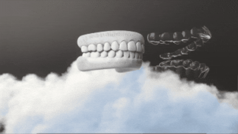 NERI5999 giphygifmaker GIF