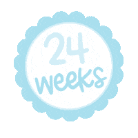 24 Weeks Baby Sticker by Krissyanne Designs