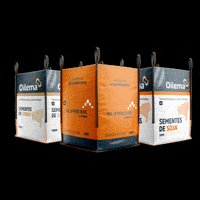 GIF by SementesOilema