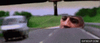 dom GIF