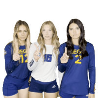 RegisVolleyball volleyball hannah mara kennedy Sticker