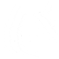 Cat Frame Sticker by POU DOU DOU official