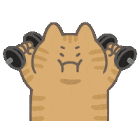 Sport Check In Sticker