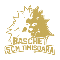Timisoara Sticker by BC Athletic