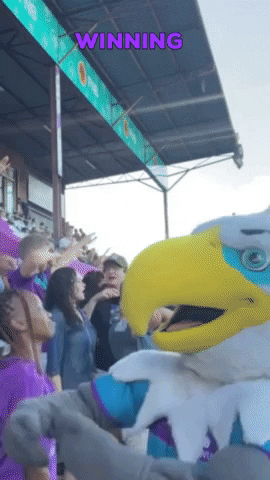 MyNWU giphygifmaker winning paid nwu GIF