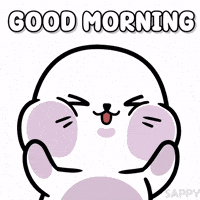 Good Morning Love GIF by Sappy Seals