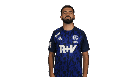 Schalke 04 Football Sticker by Bundesliga