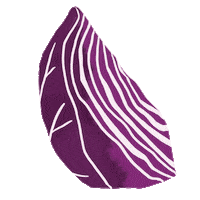 Knopf Start Here Sticker by knopfbooks