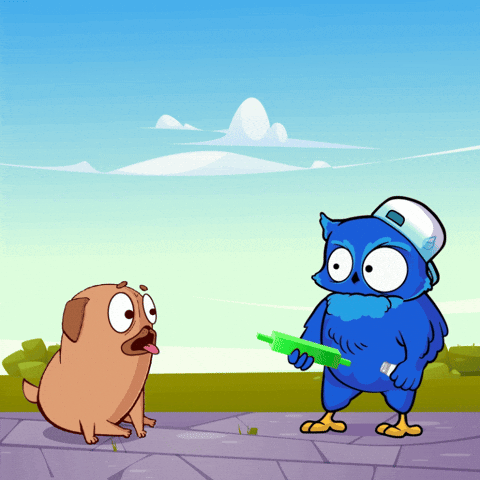 Green Bar Dog GIF by BigBrains