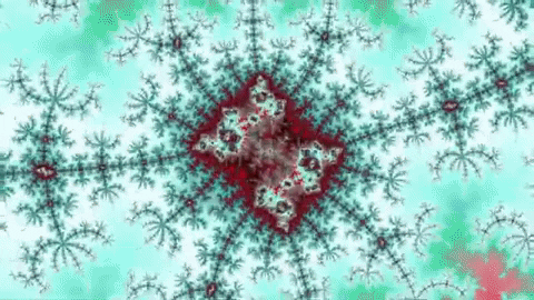 Benoit Mandelbrot Lsd GIF by xponentialdesign