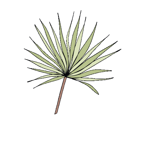 Summer Palm Sticker by Pauline