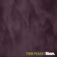 twin peaks GIF by Stan.