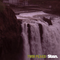 twin peaks GIF by Stan.