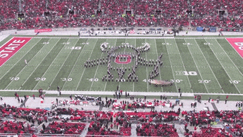 Looney Tunes Buckeyes GIF by tbdbitl