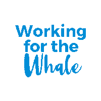 Working For The Whale Sticker by Life at Pacific Life