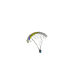 SUPAIR leaf wing paragliding parapente Sticker