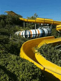 GIF by Neckermann Reisen