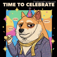 Over It Wow GIF by Doge Pound