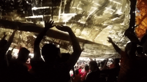 crowd bash GIF by IPFL