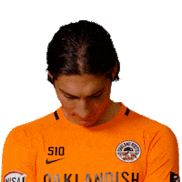 Bay Area Football Sticker by Oakland Roots SC