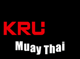 Muay Thai GIF by KruFitIndy