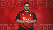 Fc Augsburg Cheering GIF by Bundesliga