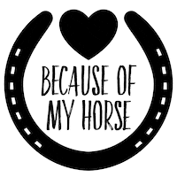 Horse Shoe Sticker by Saddle and Sage