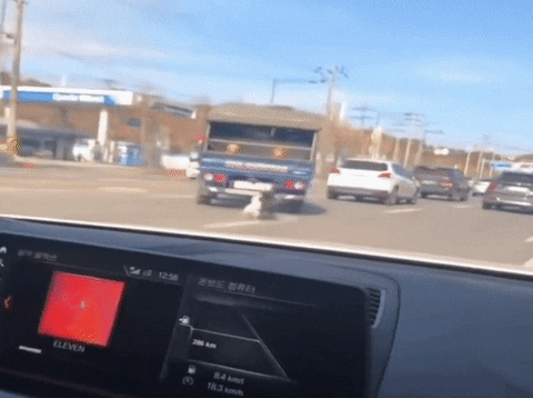 seotor_7 giphyupload GIF