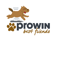 Bestfriends Sticker by proWIN nomis