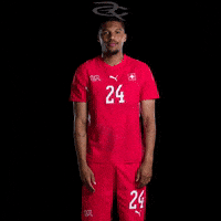 Fifa World Cup Switzerland GIF by Respective