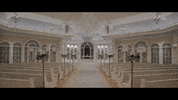 Dftw GIF by Switzerfilm
