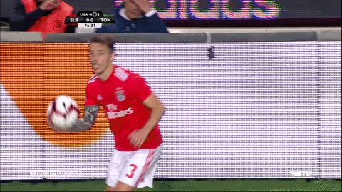 sl benfica football GIF by Sport Lisboa e Benfica