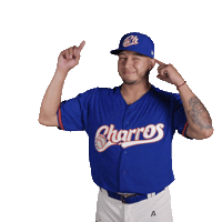Sport Baseball Sticker by Charros de Jalisco
