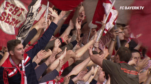 fans celebrate GIF by FC Bayern Munich