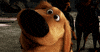 Disney gif. Doug from The Secret Life of Pets sits patiently, wagging his tail and blinking.