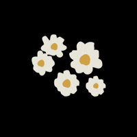 ovotoilet happy party celebration design GIF