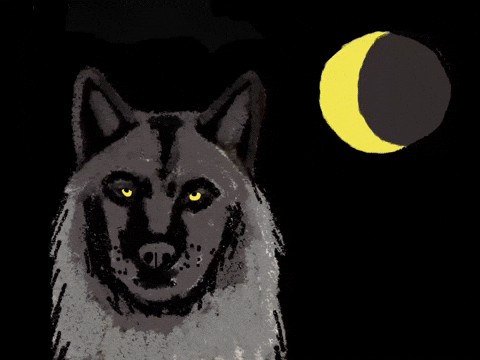 Crescent Moon Wolf GIF by Barbara Pozzi
