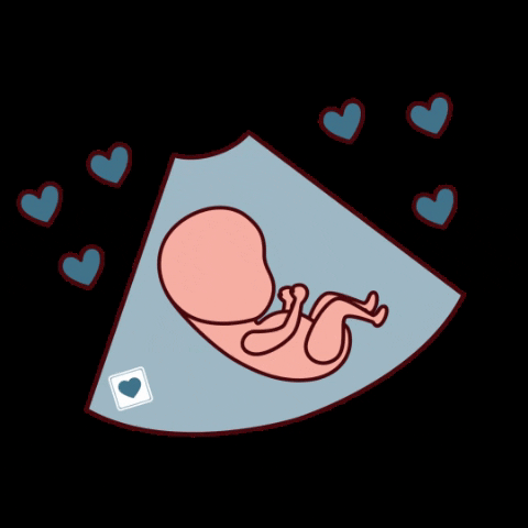 SFHM giphygifmaker hospital bebe ultra GIF