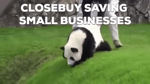 trylocaly giphygifmaker panda small business shop small GIF