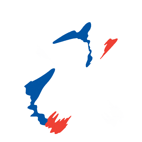 France Football Sticker by SportsManias