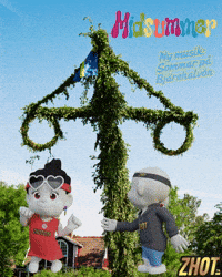 Fest Tradition GIF by Zhotcita