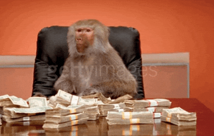 money monkey