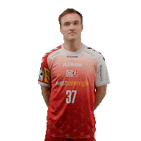 Handball Essen Sticker by DAIKIN HBL