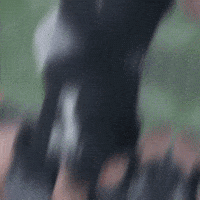 Geno Smith Raiders GIF